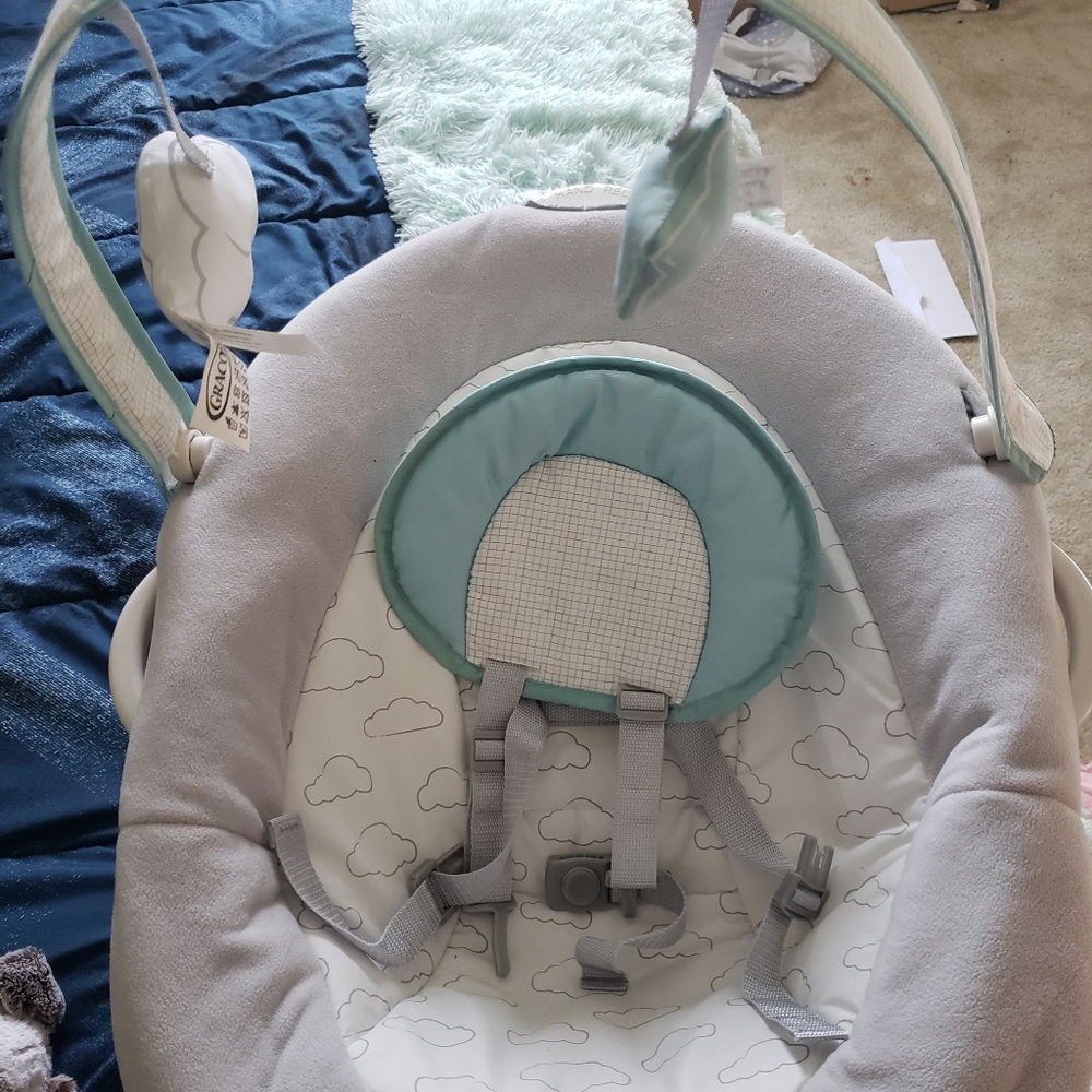 Graco Duet Sway Swing with Portable Rocker